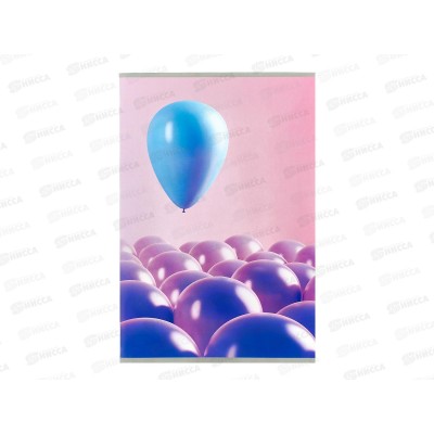 Тетрадь 80л кл. АКАД А4 Шарики EAC-11496/3 *12/24
