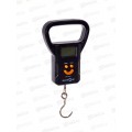 Безмен Maxtronic MAX-802 Безмен Maxtronic MAX-802