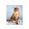 Тетрадь 24л клетка Profit Котик на цветном фоне, 5диз., 24-5770 *20/160