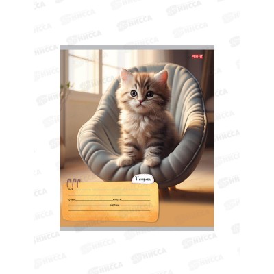 Тетрадь 24л линия Profit Котик дома, 5 диз., 24-5773 *20/160