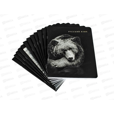 Набор 48л тетрадей ПП 12шт, "BLACKSPOFT", 48-1744 *8 Набор 48л тетрадей ПП 12шт, "BLACKSPOFT", 48-1744 *8