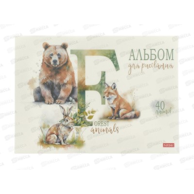 Альбом д/рис.40л Hatber Из жизни дикой природы пласт.обложка 087320 *34 Альбом д/рис.40л Hatber Из жизни дикой природы пласт.обложка 087320 *34