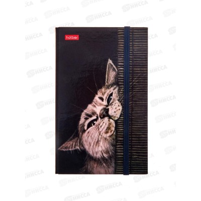 Кн.зап.Hatber А6 80-50л Мур-Мяу! греб, клапан на резинке 32861 *14