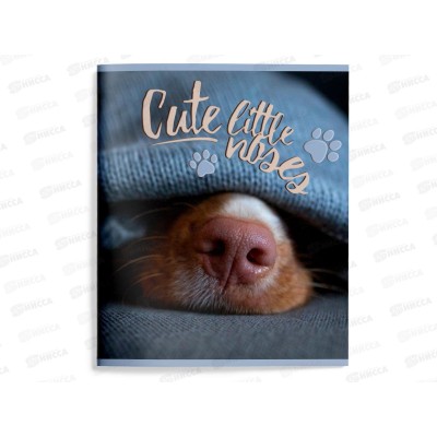 Тетрадь 48л лин. schoolФОРМАТ Собачьи носы ТОЛ48-СБН *4/96