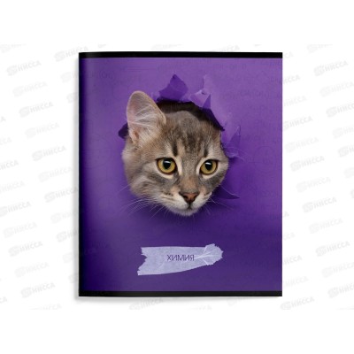 Тетрадь 48л кл. schoolФОРМАТ А5 Любопытный котик Химия ТТКХИМ-КВД Тетрадь 48л кл. schoolФОРМАТ А5 Любопытный котик Химия ТТКХИМ-КВД