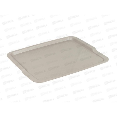 Поднос 425*320*22мм Св-бежевый 431255934  *14 БП