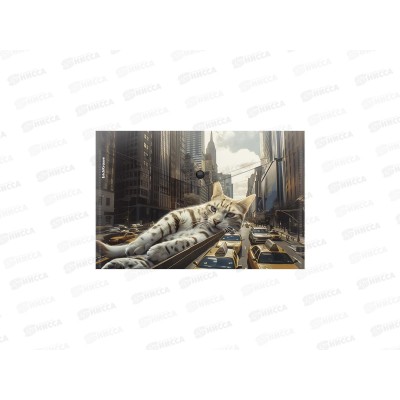 Папка-конверт пл. на кнопке EK Big City Cats А4, асс. 63511 *12 Папка-конверт пл. на кнопке EK Big City Cats А4, асс. 63511 *12