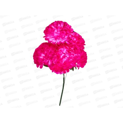 Букет 80см 6гол №520  81321 *20  Б