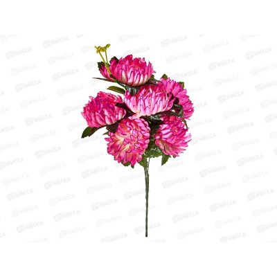 Букет астр 6голов 50см микс 6816 *2/20