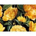Клеенка Grace ткань с пвх 1,4х20м STS2024-5 117812 Клеенка Grace ткань с пвх 1,4х20м STS2024-5 117812
