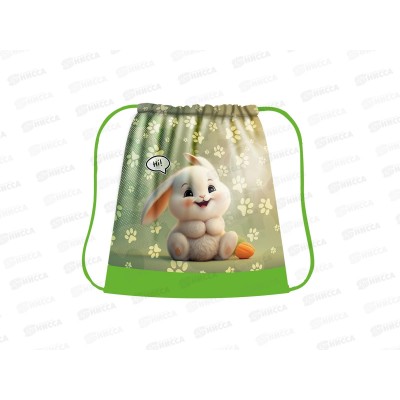 Сумка д/см.обуви ПЧЕЛКА Max Счастливый зайка СДС-53 *50 Сумка д/см.обуви ПЧЕЛКА Max Счастливый зайка СДС-53 *50