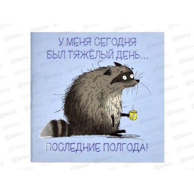 Блокнот 32л ФЕН Сонный енот 130*130мм 66167 *50