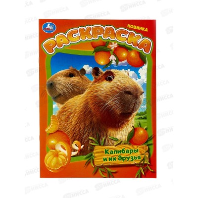 Раскраска &quotУМКА&quot 10317-2, Капибары и их друзья. 214х290мм 16стр. *50