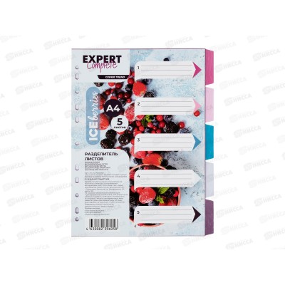 Разделитель листов Expert Complete А4 пластиковый 5шт, EC270020200