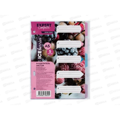 Разделитель листов Expert Complete А5 пластиковый 5шт, EC270020202