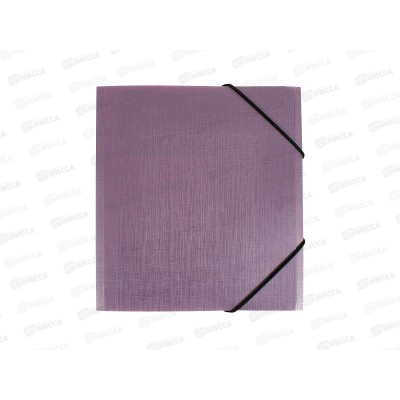 Папка на резинке EXPERT Complete, А5 Ежевика, 600мкм 25мм, ЕС210425072