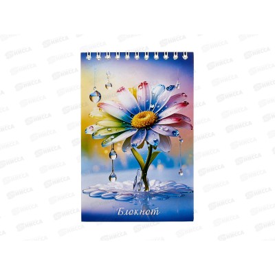 Блокнот 48л ПГС Ромашка 4, 100*150, греб. *12