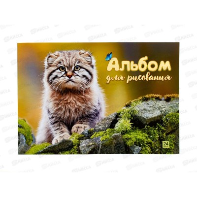 Альбом д/рис.24л Lamark Дикий кот-Манул. клей, 90920 *40 Альбом д/рис.24л Lamark Дикий кот-Манул. клей, 90920 *40