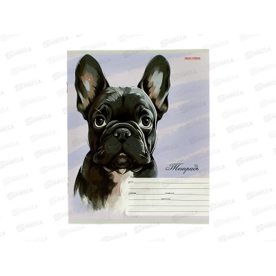 Тетрадь 12л клетка ПП Красивые собачки, 5диз., Т12-3929 *20/240 Тетрадь 12л клетка ПП Красивые собачки, 5диз., Т12-3929 *20/240