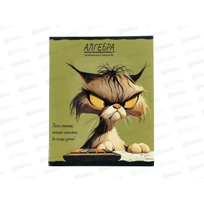 Тетрадь 48л клетка ПП "ПРО ХВОСТ" Алгебра, 48-2459 стандарт *10/80