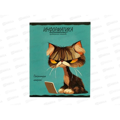 Тетрадь 48л клетка ПП &quotПРО ХВОСТ&quot Информатика, 48-2478 стандарт *10/80