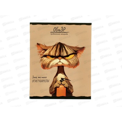 Тетрадь 48л клетка ПП "ПРО ХВОСТ" ОБиЗР, 48-2497 *10/80