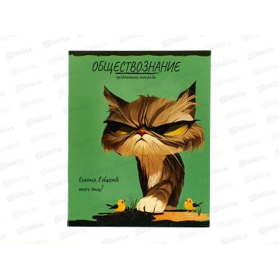 Тетрадь 48л клетка ПП "ПРО ХВОСТ" Обществознание, 48-2498 стандарт *10/80