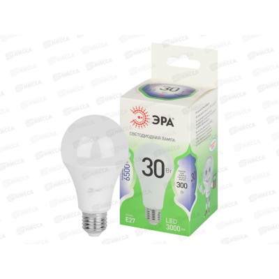 Лампа светодиодная ЭРА GREEN LINE LED 30Вт 6500К, A65-30W-865-E27 *10/100 Лампа светодиодная ЭРА GREEN LINE LED 30Вт 6500К, A65-30W-865-E27 *10/100