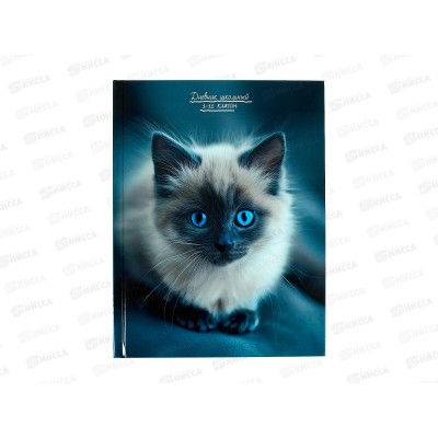 Дневник ПП Котенок с голубыми глазами, универсальный, Д40-3857
