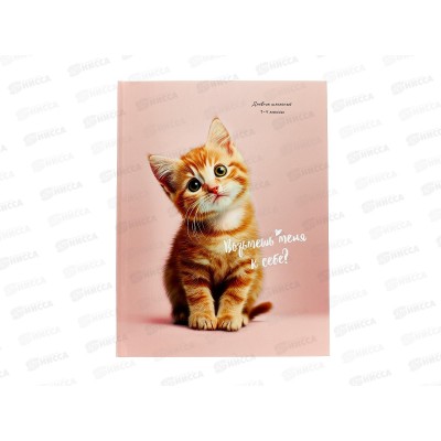 Дневник ПП Маленький рыжий котёнок, 1-4 классы, Д48-3850 *24