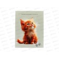 Дневник ПП Улыбка рыжего котика, 5-11 классы, Д48-3873 *24