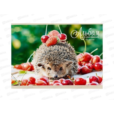 Альбом д/рис.40л ЭКСМ Блестящие и милые, блест., АБ402565 *40 Альбом д/рис.40л ЭКСМ Блестящие и милые, блест., АБ402565 *40