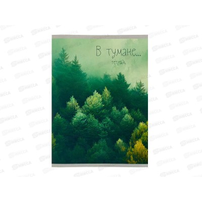 Тетрадь 48л кл. ЭКСМ А4 Зеленая туманность,  Т4485104  *60