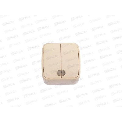 Выключатель открытая установка 2клавиши IP20 10А, сл.кость, с подсветкой, &quotДача&quot, 0017 *10/100