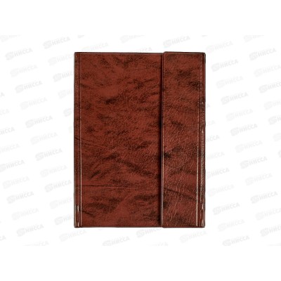 Папка с прижимом ДПС А5 коричневая 2738-104 *30