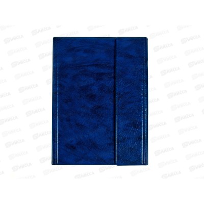 Папка с прижимом ДПС А5 синяя 2738-101 *30