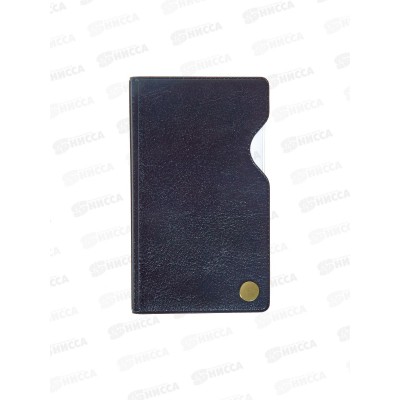 Футляр ДПС для пластиковых карт. Черный  (на винте) 2901.И-207 *20