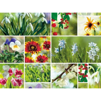 Клеенка Grace ткань с пвх 1,37х20м STG160А 117677