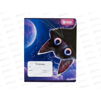 Тетрадь 18л кл. schoolФОРМАТ Игривый космокотик ТШК18-ИКК  *12/192 Тетрадь 18л кл. schoolФОРМАТ Игривый космокотик ТШК18-ИКК  *12/192
