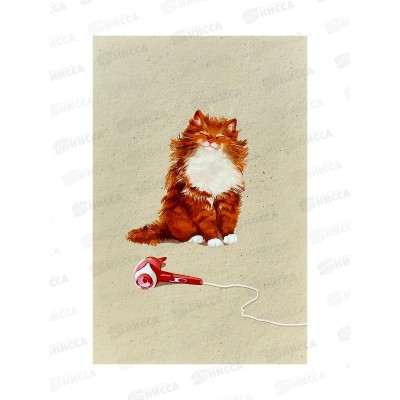 Открытка 121*183 Котик 0573.170
