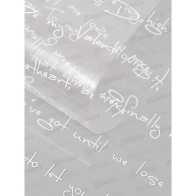 Пленка глянцевая "Письмо" 58*58см белый *20 6893325 Пленка глянцевая "Письмо" 58*58см белый *20 6893325