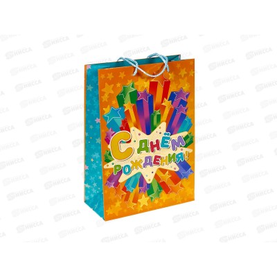 Пакет подарочный 22х31х10см ml Глянцевый, PML-90655-НВ2, 392997