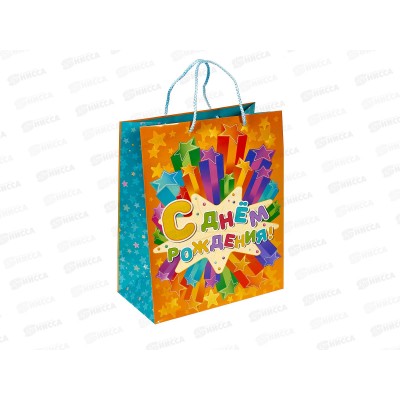 Пакет подарочный 26х32х14см l Глянцевый, PL-90657-НВ2 *12