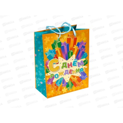 Пакет подарочный 18х22,7х10см m Глянцевый, PM-90415-НВ2 *12