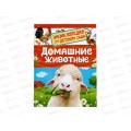Энциклопедия Росмэн Домашние животные (для детского сада ), 64916 *20