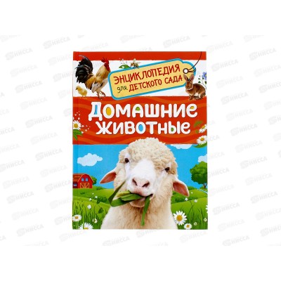 Энциклопедия Росмэн Домашние животные (для детского сада ), 64916 *20