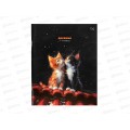 Дневник BG Котики 1-11кл на скобе 08395 *20