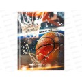 Дневник BG Basketball aesthetic 1-11кл 48л. тв.мат. ламин. 64675 *12