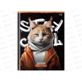 Дневник BG Stay cool 1-4кл  48л. глянц. ламин. 64733 *12