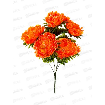 Букет астр 7голов 50см микс А-2 *2/30/150